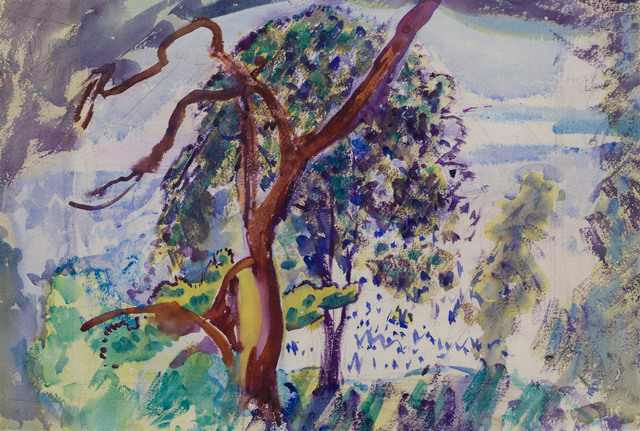 Charles Hopkinson, ‘Two Trees’, 19th -20th Century, Vose Galleries