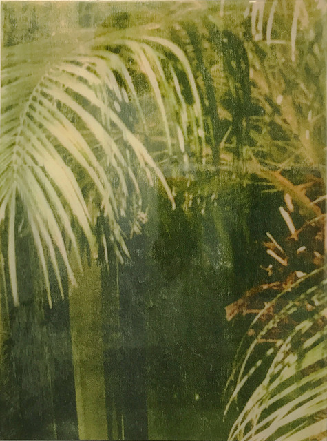 Ernesto Cánovas, ‘Botanic XXXI’, 2017, Ambacher Contemporary