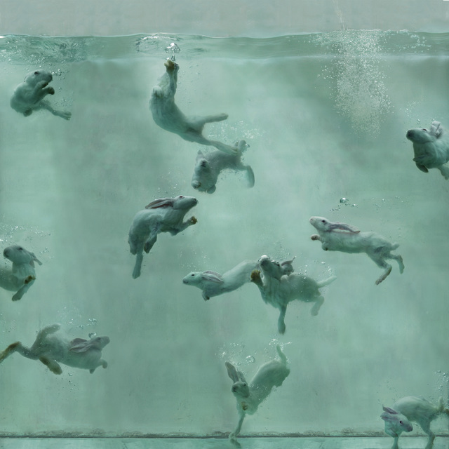 Zhou Hongbin, ‘Aquarium 24’, 2014, Michele Mariaud Gallery
