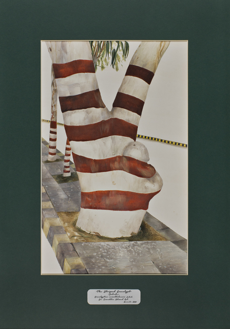 David Chalmers Alesworth, ‘Trees of Pakistan - The Striped Eucalypt, Safeda’, 2013-2014, GALLERYSKE