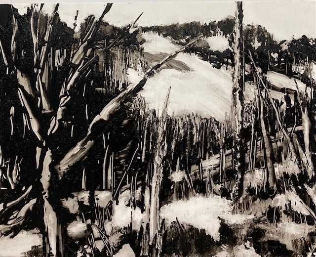 Jane Wolf, ‘Nature Paradox Yellowstone’, 2021, Painting, Acrylic, The Galleries at Salmagundi