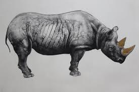 Rhinoceros State II by Tammy Mackay. £420 unframed Rhinoceros State II by Tammy Mackay. £420 unframed