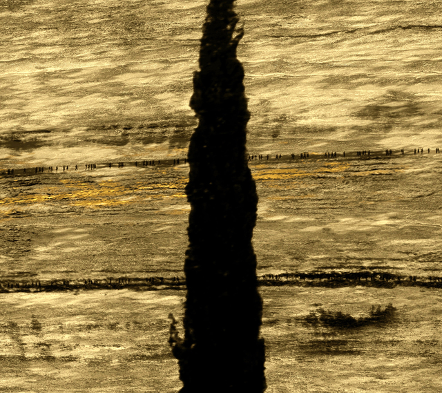 Michal Rovner, ‘Terra II’, 2014, Michael Fuchs Galerie