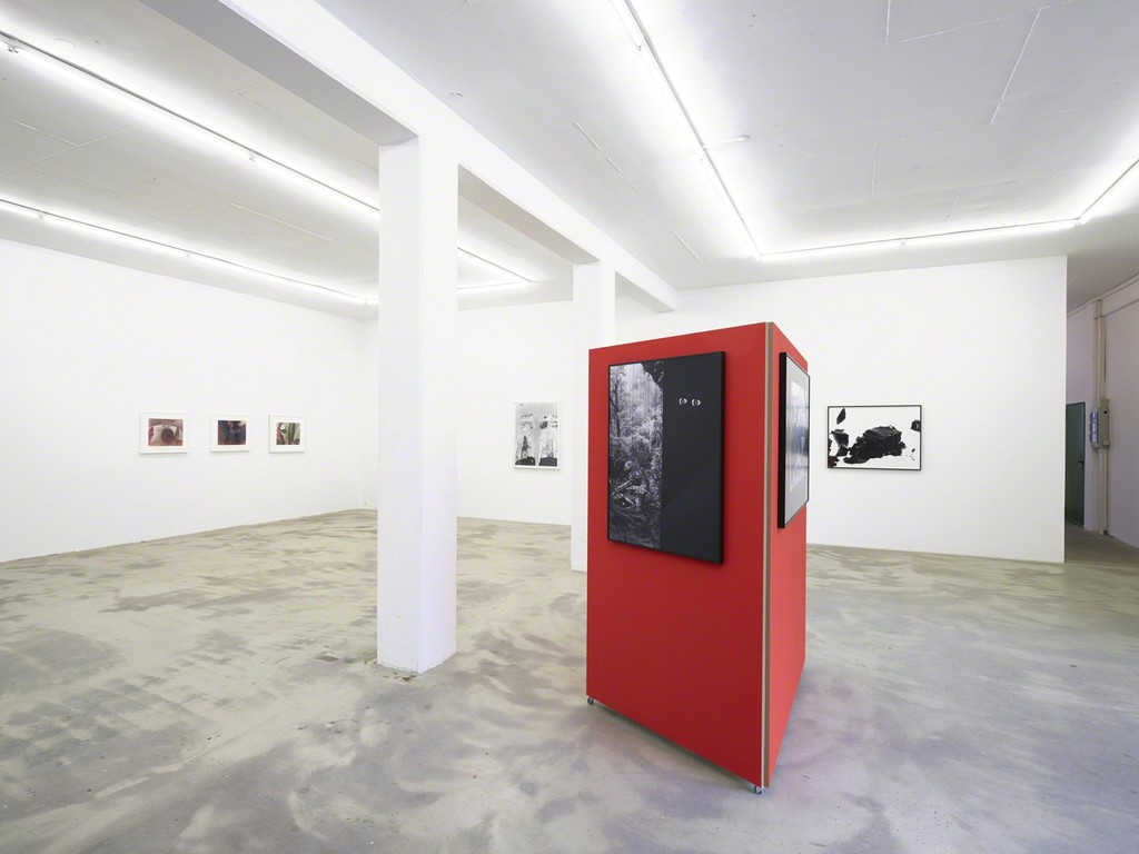 exhibition view 'The Human Apparatus', Klemm's, Berlin 2015 exhibition view 'The Human Apparatus', Klemm's, Berlin 2015