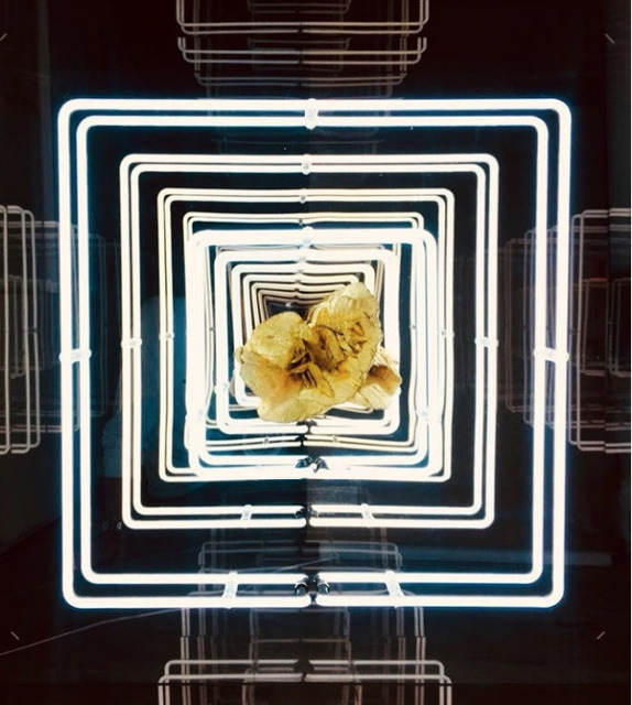 Emmanuelle Rybojad, ‘Rose Des Sables ’, 2018, Sculpture, Mixed media, LED and plexiglass, HOFA Gallery (House of Fine Art)