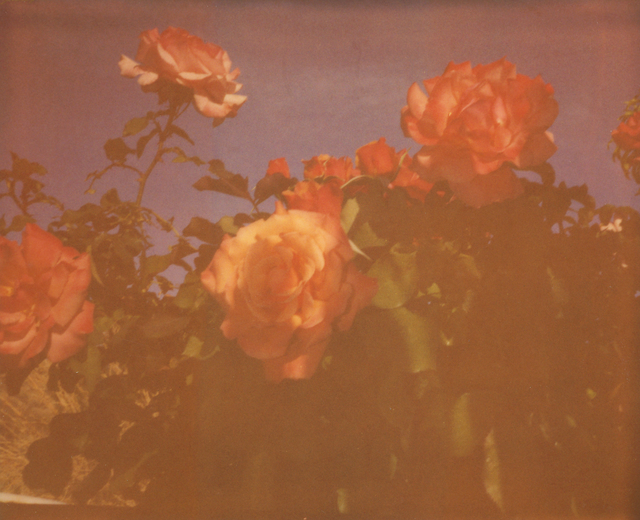 Stefanie Schneider, ‘Once in a Blue Moon (The Girl behind the White Picket Fence)’, 2013, Photography, Analog C-Print, hand-printed by the artist on Fuji Crystal Archive Paper, based on a Polaroid, mounted on a Wooden box with matte UV-Protection, Instantdreams