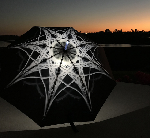 Elizabeth Turk, ‘Shoreline Project: X-Ray Mandala Umbrella (black against white)’, 2018, Mixed Media, Performance Prop, Laguna Art Museum Benefit Auction