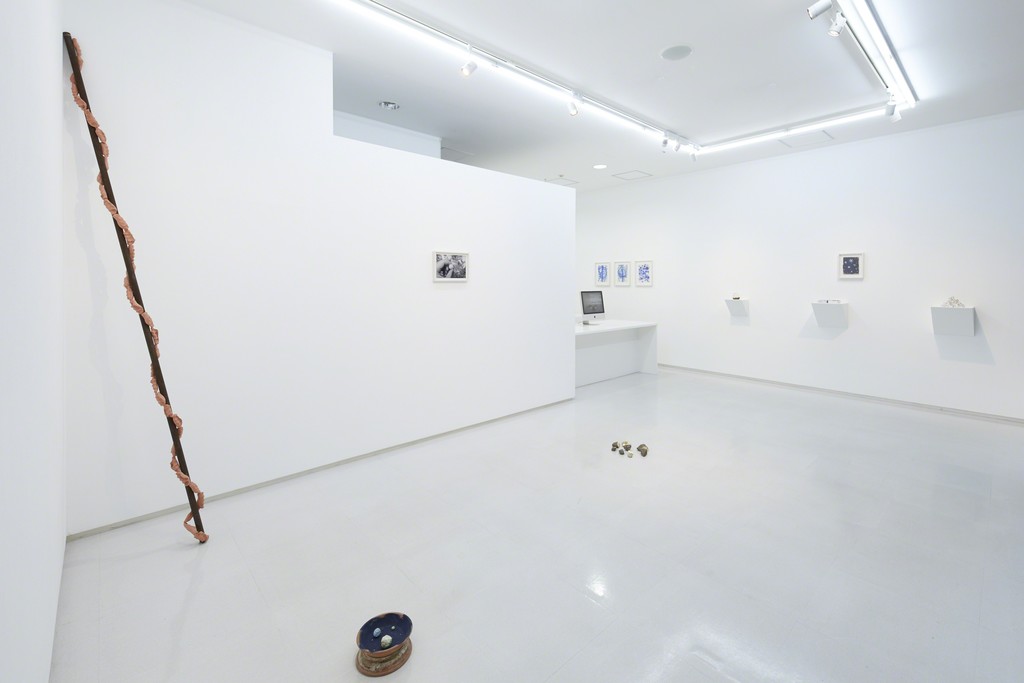 Installation view from “A Cosmology from Forest” 8/ ART GALLERY/ Tomio Koyama Gallery, 2017 ©Satoshi Hirose, photo by Kenji Takahashi Installation view from “A Cosmology from Forest” 8/ ART GALLERY/ Tomio Koyama Gallery, 2017 ©Satoshi Hirose, photo by Kenji Takahashi