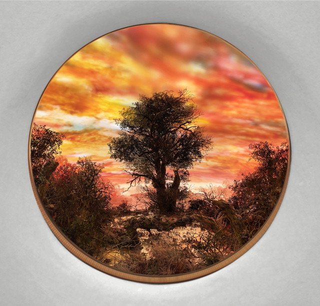 Patrick Jacobs, ‘Tree with Red Moonlit Sky (Diorama viewed through 7.5 inch window)’, 2020, Sculpture, Styrene, clay, paper, foam, wood, acrylic, steel, lighting, BK7 glass, Pierogi