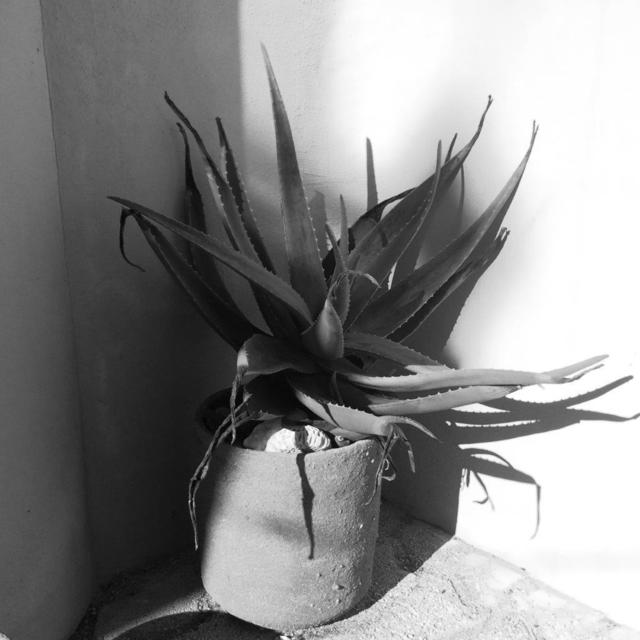 Heidi Jung, ‘Mexico #1’, 2017, Michael Warren Contemporary
