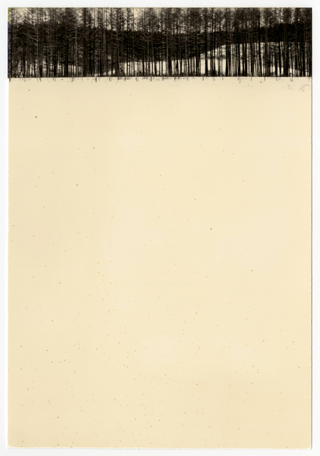 Yamamoto Masao, ‘0845, from Nakazora’, 1998, Photography, Gelatin silver print with mixed media, Etherton Gallery