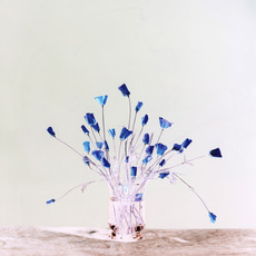 Brendan Barry