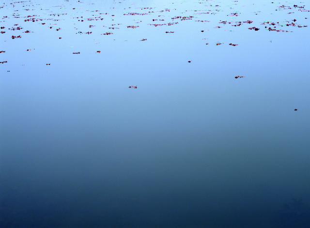 Manuela Marques, ‘Lac 1’, 2007, Photography, Archival pigment print on Baryta paper, Caroline Pagès Gallery