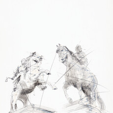 Peter Gnass