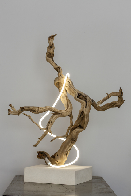 Lisa Schulte, ‘Untitled Wood Series #4’, 2014, Sculpture, Neon Tubing and Driftwood, Voltz Clarke