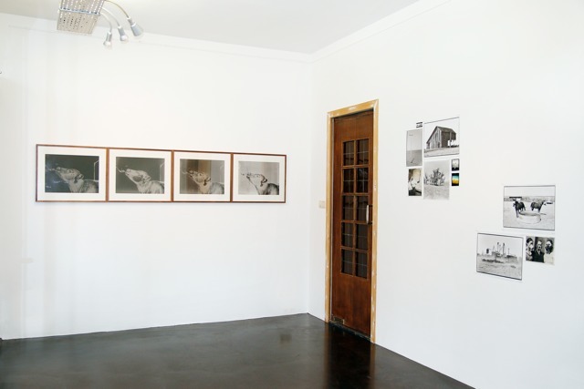 Installation overview of solo exhibition 'There is Anarchy in our Midst'. With 'Stormy' (solarized b&w photographs), 'Shelter Belt Plan' (old press images, b&w photography and contact sheets) and 'Dust Masks' (old press images and b&w photography). Installation overview of solo exhibition 'There is Anarchy in our Midst'. With 'Stormy' (solarized b&w photographs), 'Shelter Belt Plan' (old press images, b&w photography and contact sheets) and 'Dust Masks' (old press images and b&w photography).