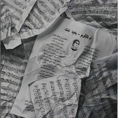 Bengisu Bayrak