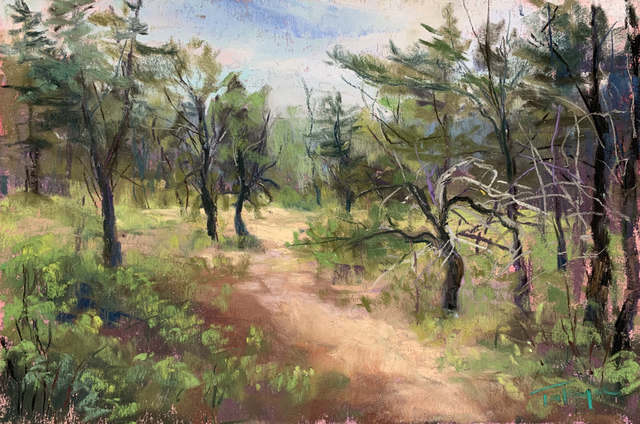 Takeyce Walter, ‘Day 16: Pines on the Preserve ’, February 2020, Painting, Pastels, Keene Arts