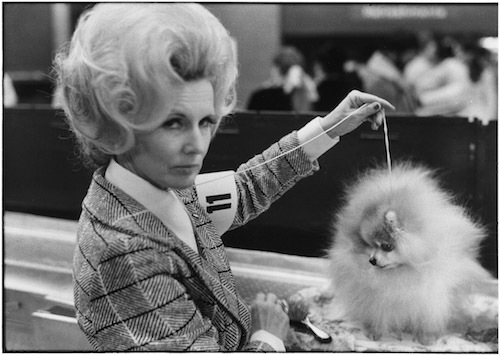 Elliott Erwitt, ‘New York City, USA’, 1973, Jackson Fine Art