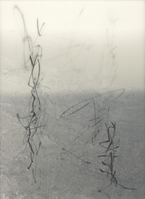 Chaco Terada, ‘Code II’, 2010, Mixed Media, Archival pigment print on layers of silk organza with sumi ink and mineral pigments, Valley House Gallery & Sculpture Garden