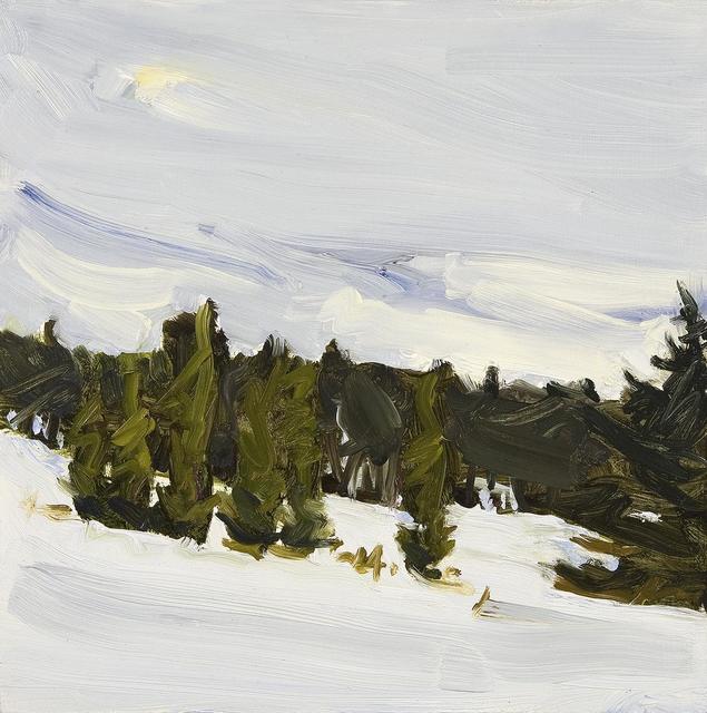 Susan Headley Van Campen, ‘Fresh Snow and Arborvitae in Early April ’, 2017, Painting, Oil on panel, Dowling Walsh