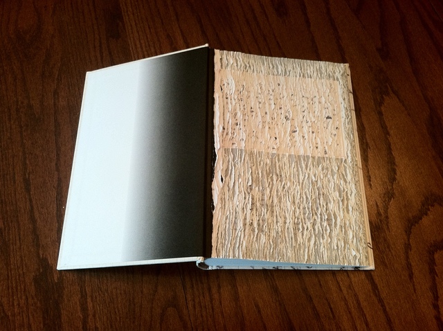 Buzz Spector, ‘Effaced Nabokov’, 2014, Seager Gray Gallery