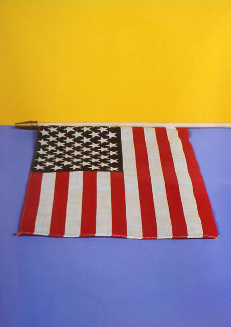 Neil Winokur, ‘Flag (Ann Magnuson)’, 1985, Elizabeth Clement Fine Art