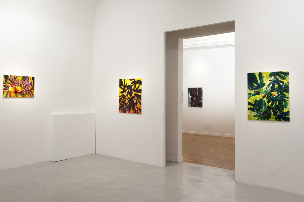 Nicholas William Johnson installation view Nicholas William Johnson installation view