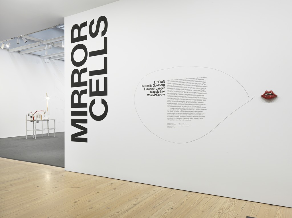 Installation view of "Mirror Cells" at Whitney Museum of American Art, New York (2016). Photograph Genevieve Hanson, NYC. Installation view of "Mirror Cells" at Whitney Museum of American Art, New York (2016). Photograph Genevieve Hanson, NYC.