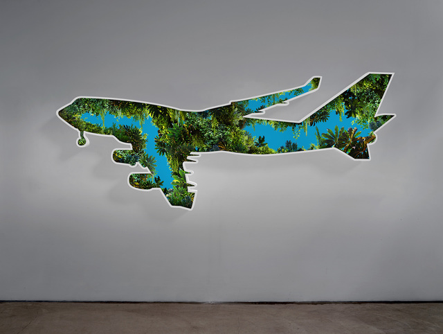 Doug Aitken, ‘Jungle Plane’, 2017, Regen Projects