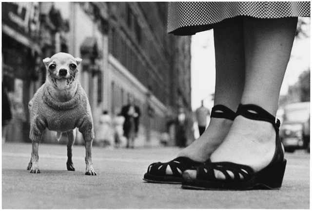 Elliott Erwitt, ‘New York City, 1946’, 1946, Jackson Fine Art