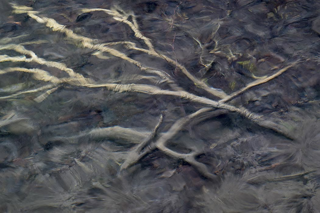 Salvatore Lopes, ‘Underwater Study, Plitvicka,Croatia’, 2016, Art Upclose