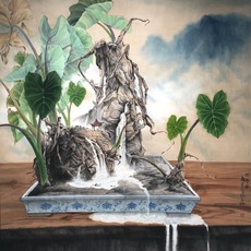 Kuan-Ti Chi