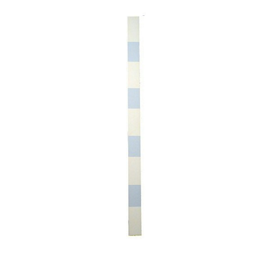 Frank Badur, ‘Measure’, 1998, Painting, Oil and alkyd on panel, Margaret Thatcher Projects