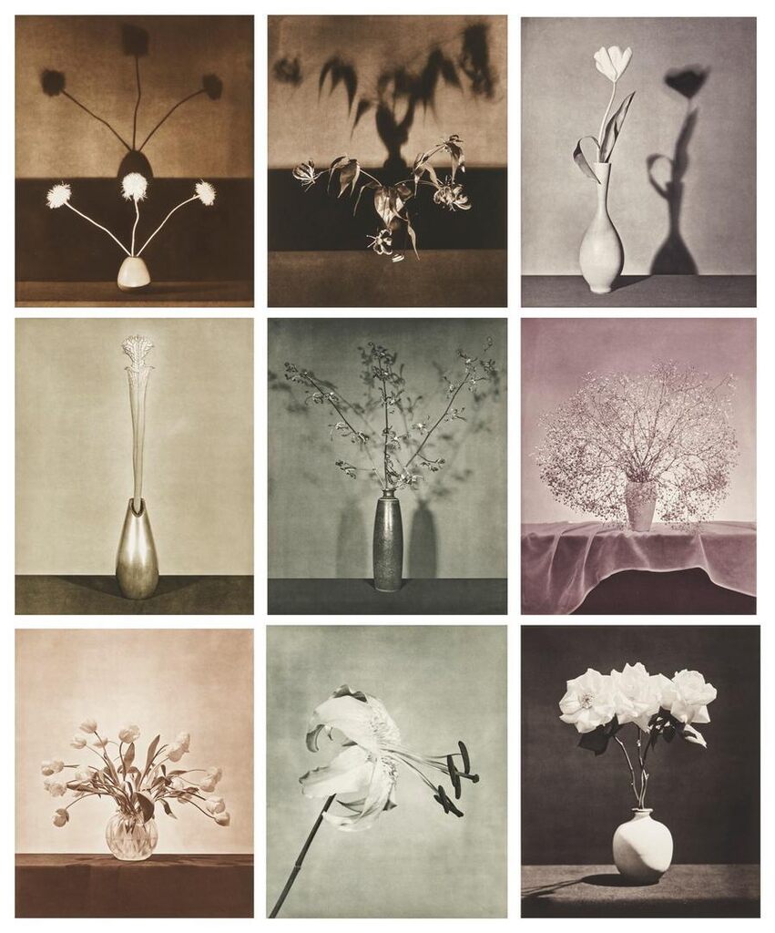 アート・デザイン・音楽 Flowers Robert Mapplethorpe Robert Mapplethorpe | Flowers, 5 (1983) | Art & Prints | Artsy