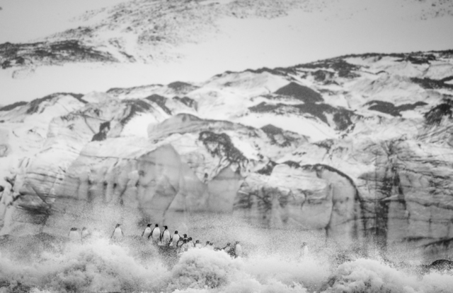 David Yarrow, ‘54 Degrees South’, 2018, Isabella Garrucho Fine Art