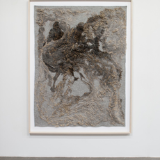 Ariel Herwitz