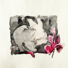 Sue Greeff