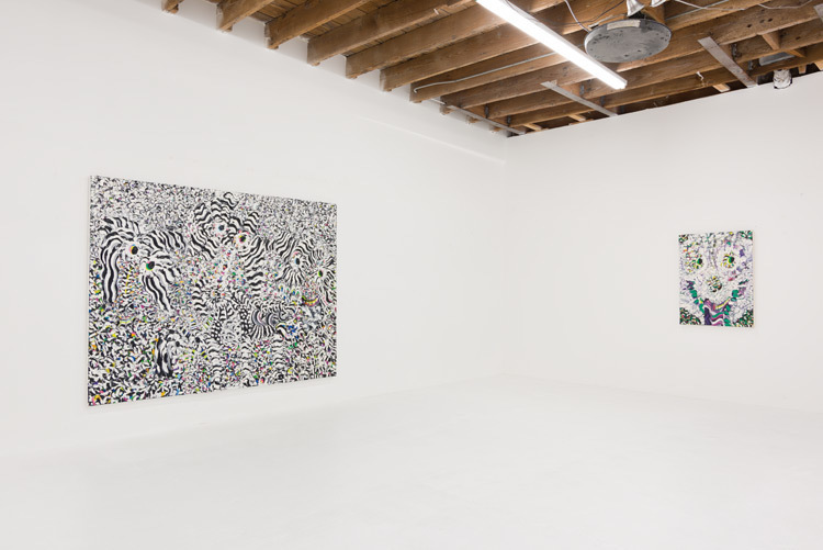 Sally Bruno, 'Surf Skate Snow', 2016, installation view. Photo: Ruben Diaz Sally Bruno, 'Surf Skate Snow', 2016, installation view. Photo: Ruben Diaz