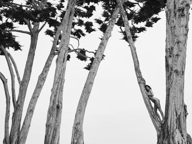 Russell James, ‘Kendall in Treetops, Santa Barbara’, 2018, NTW Gallery