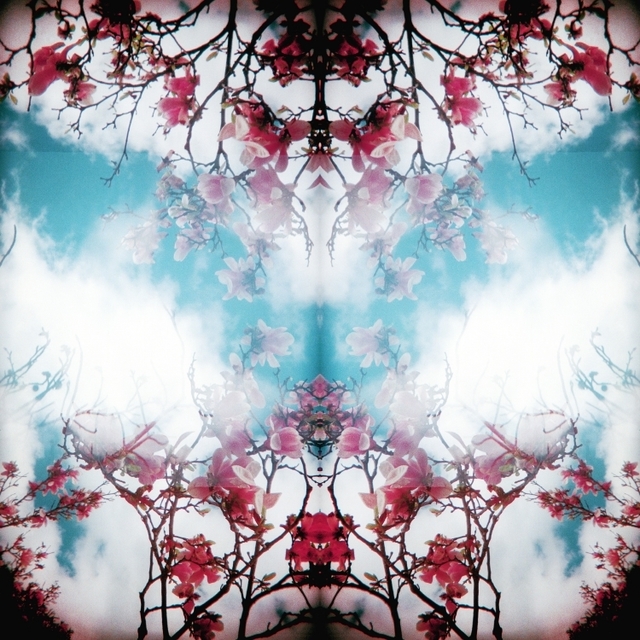 Ellen Stagg, ‘"Magnolia in the Sky"’, 2019, Parlor Gallery