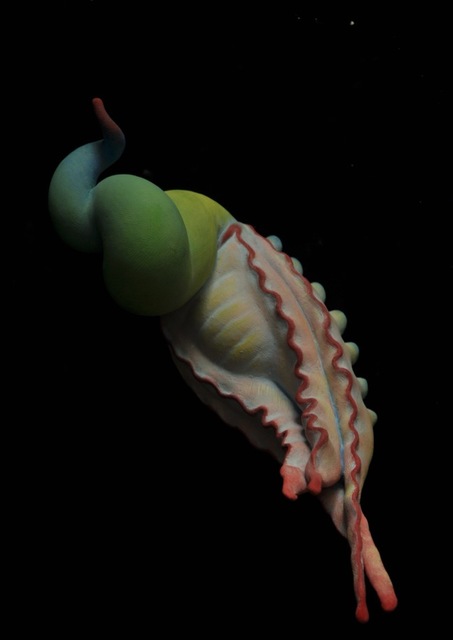 Judy Fox, ‘EdenPlant 11’, 2019, Nancy Hoffman Gallery