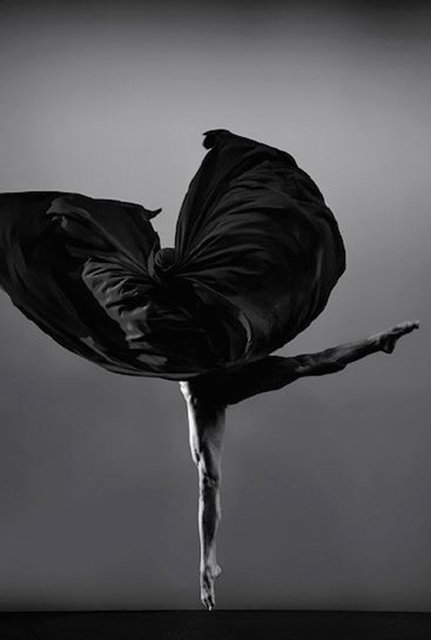 Guilherme Licurgo, ‘Seed IV’, 2011, The Art Design Project