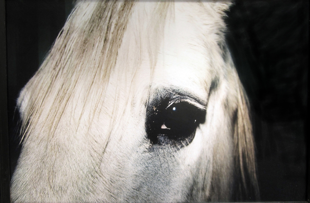Esko Männikkö, ‘Untitled (From "Harmony Sisters" series)’, Photography, Archival Pigment Print, Yancey Richardson Gallery