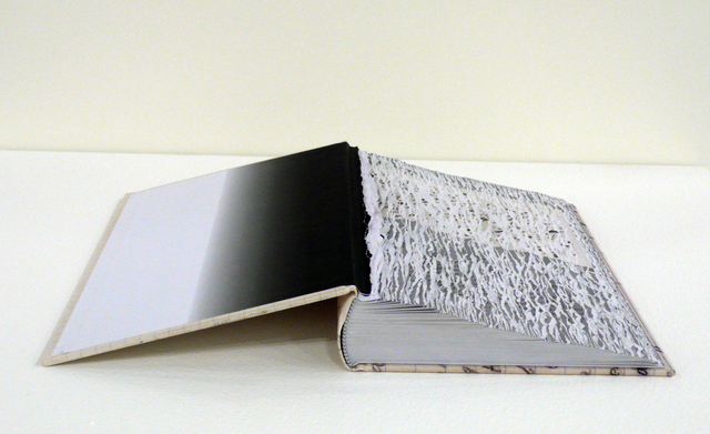 Buzz Spector, ‘Efface Nabokov’, 2014, Bruno David Gallery