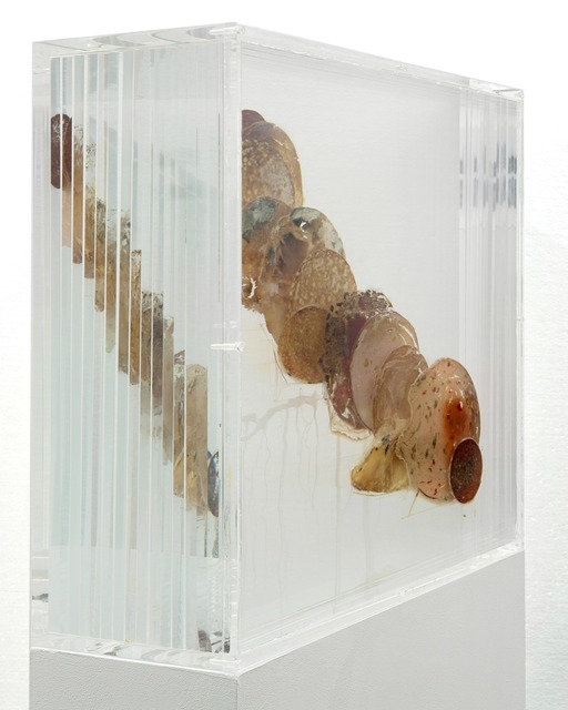 Tue Greenfort, ‘Bio-Wurstwolke - After Dieter Roth 1969’, 2007, Sculpture, Acrylic glass, different sorts of bio-sausage slices, KÖNIG GALERIE