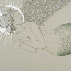 Fay Ku