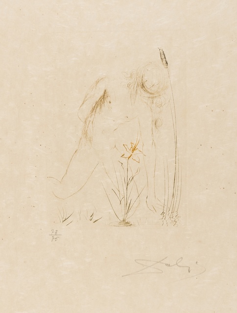 Salvador Dalí, ‘Narcisse (from Quinze Gravures) (M&L 284b; Field 68-4-B)’, 1968, Print, Etching printed in colours, Forum Auctions
