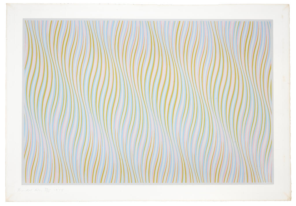 Bridget Riley - Untitled (Rose)