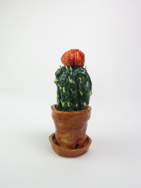 Rose Eken, ‘Cactus VI’, 2016, V1 Gallery